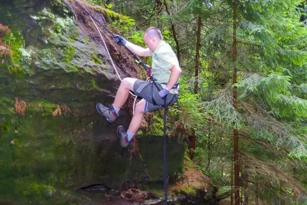 Person seilt an einem Felsen im Wald ab