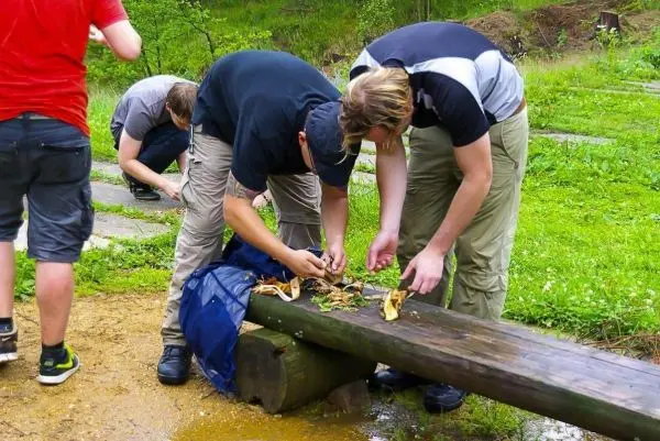 Personen sammeln Pflanzenmaterial auf einer Holzbank beim Überlebenstraining