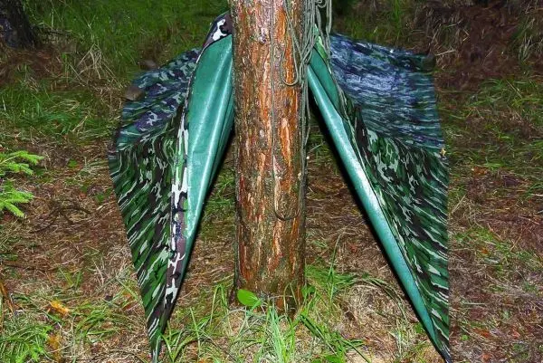 Tarp-Notunterkunft ist zwischen zwei Bäumen aufgespannt