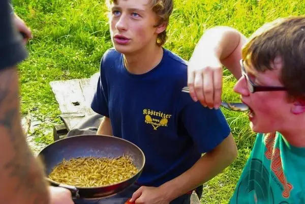 Zwei Jugendliche essen aus einer Pfanne mit zubereiteten Insekten