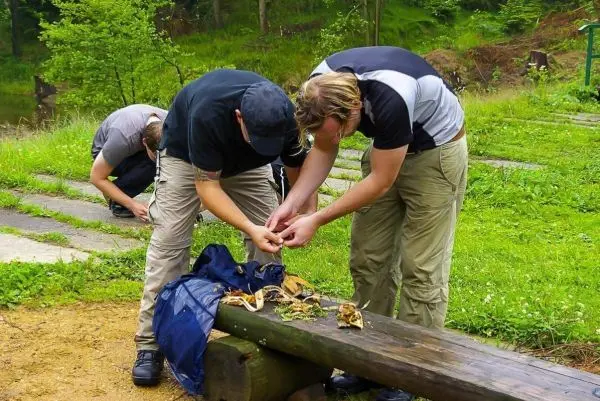 Zwei Personen bereiten Zunder auf einer Holzbank vor