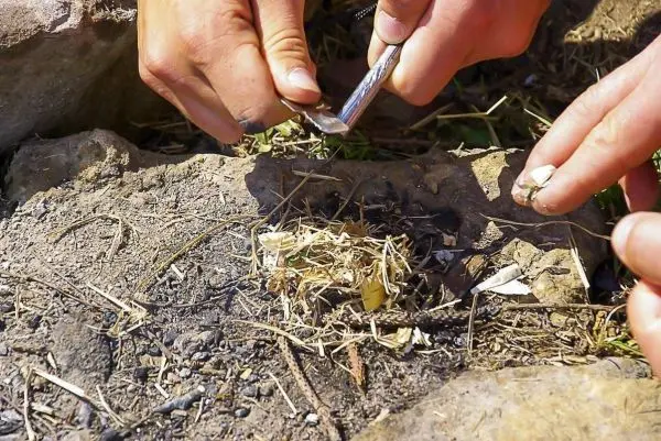 Hände bereiten Zunder auf einem Erdboden vor beim Survival Training