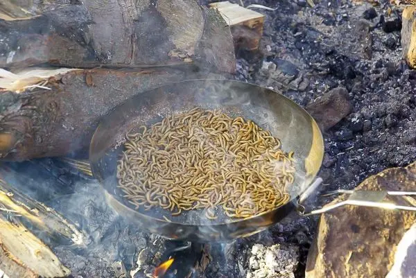 In einer Pfanne werden Insekten über einem offenen Feuer gegart