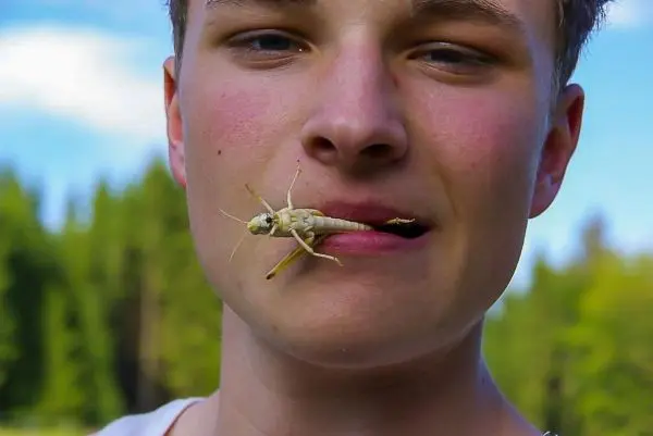 Junge mit Heuschrecke im Mund, Hintergrund mit Bäumen und Himmel
