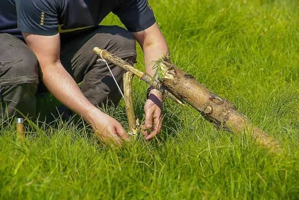 Person baut eine selbstgebaute Falle aus Ästen im Gras