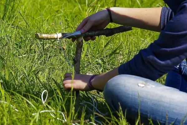 Person bindet Äste zusammen auf dem Gras