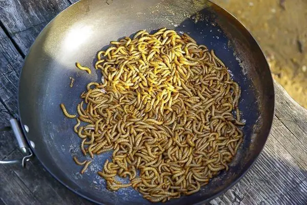 Pfanne mit gebratenen Insekten auf einem Holztisch