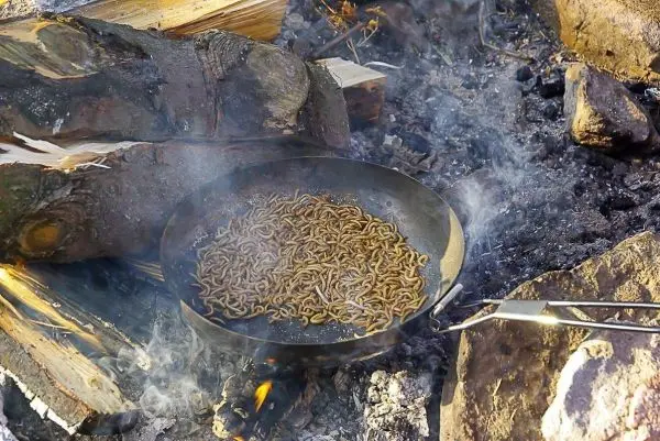 Pfanne mit Insekten auf einem offenen Feuer, Rauch steigt auf