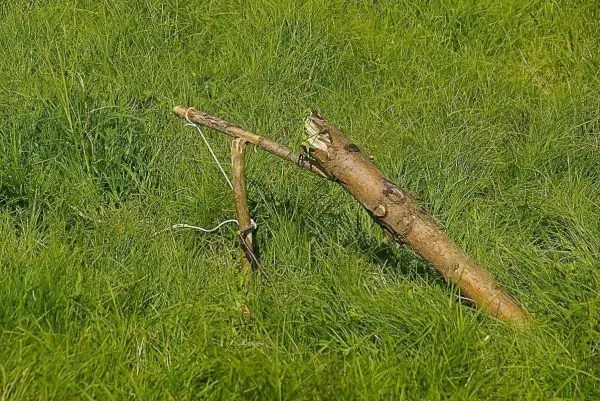 Schlagfalle (Figure-Four) aus Holzstücken im Gras