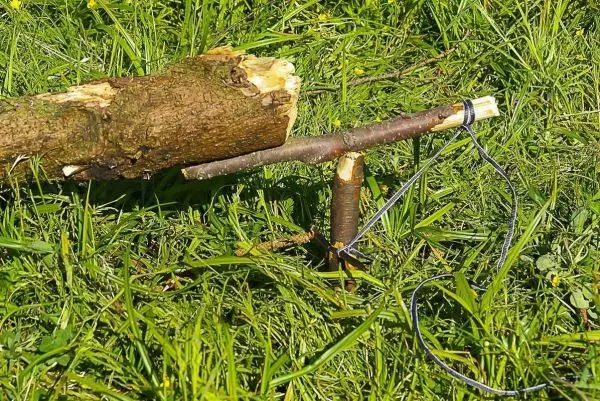 Selbstgebaute Falle aus Ästen und Schnur auf Gras
