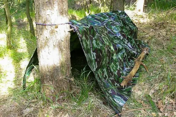 Tarp-Notunterkunft ist zwischen zwei Bäumen mit Abspannschnur befestigt