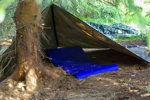 Tarp-Notunterkunft unter einem Baum mit blauer Unterlage auf dem Boden