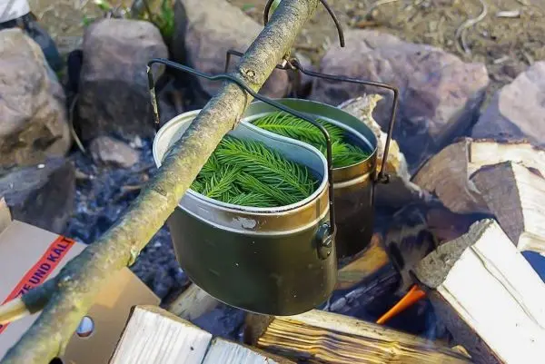 Zwei Kessel mit grünen Nadeln hängen über einem kleinen Feuer