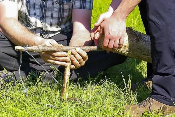 Zwei Personen bauen eine Schlagfalle (Figure-Four) aus Holzstücken im Gras