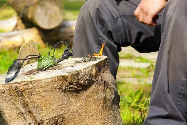 Feuerstahl erzeugt Funken auf Zunder auf einem Baumstumpf