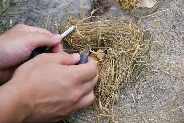 Hände bearbeiten Zunder aus trockenem Gras und Holzstück auf einem Baumstamm