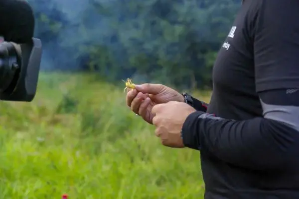 Hände halten Zunder in der Nähe von Rauch und grünem Hintergrund