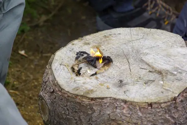 Kleine Flamme brennt auf Zunder auf einem Baumstumpf