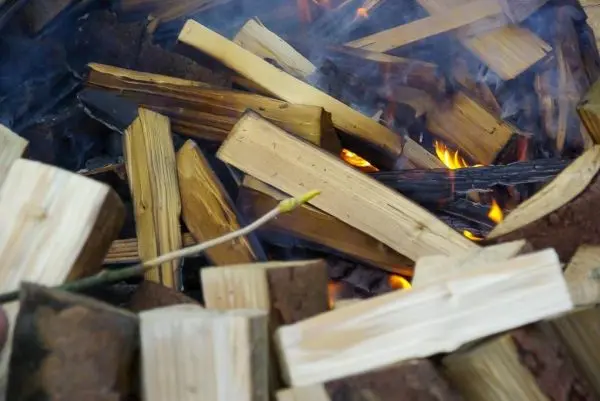 Kleine Flamme zwischen Holzscheiten, Zunder glimmt im Hintergrund