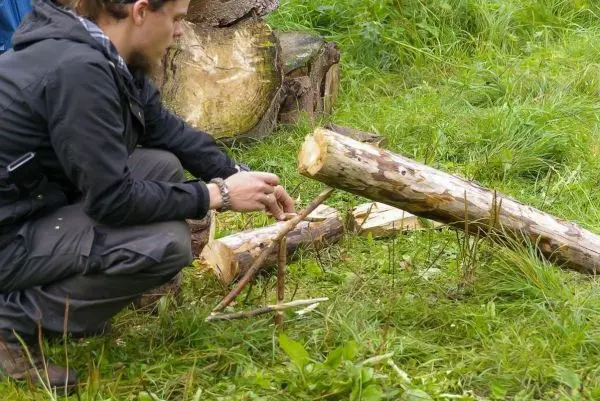 Person bearbeitet Holzstücke im Gras
