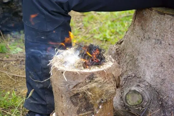 Person entzündet Feuer auf einem Baumstumpf beim Survival Training