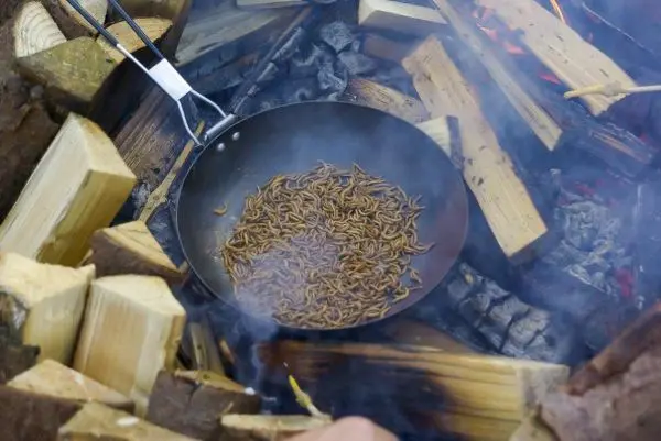 Pfanne mit Insekten über offenem Feuer in Holzrahmen erhitzt