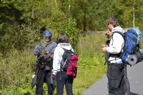 Eine Person zeigt eine Pflanze einer Gruppe von drei Personen auf einem Weg