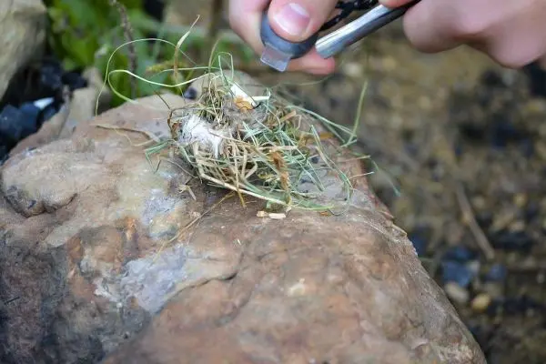 Feuerstahl erzeugt Funken auf Zundernest aus Gras und Wolle