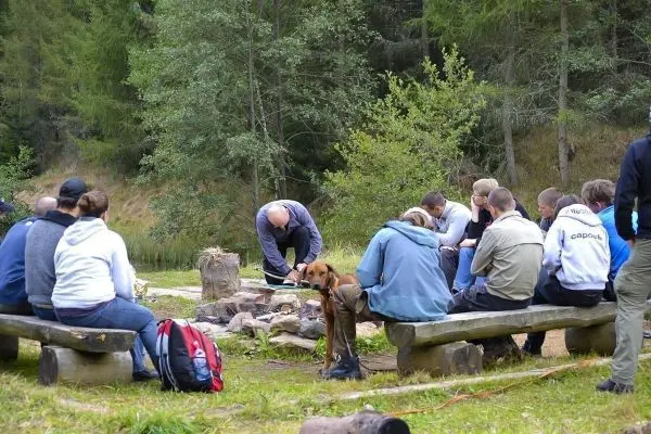 Gruppe sitzt auf Bänken um ein Lagerfeuer, Hund beobachtet die Umgebung
