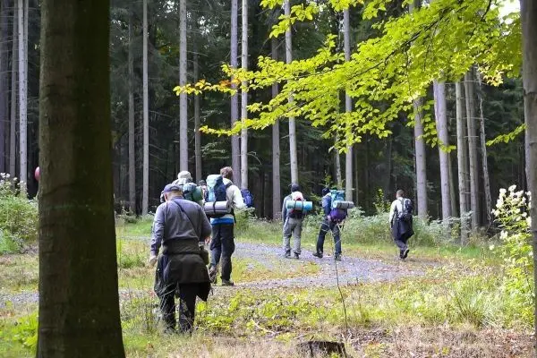 Gruppe von Wanderern mit Rucksäcken geht einen Waldweg entlang