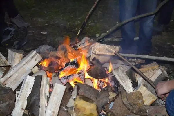 Kleine Flamme brennt zwischen Holzscheiten und Steinen