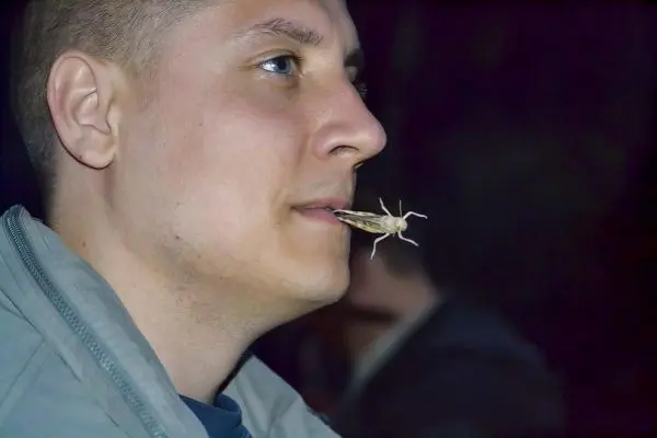 Mann hält eine Heuschrecke zwischen den Lippen