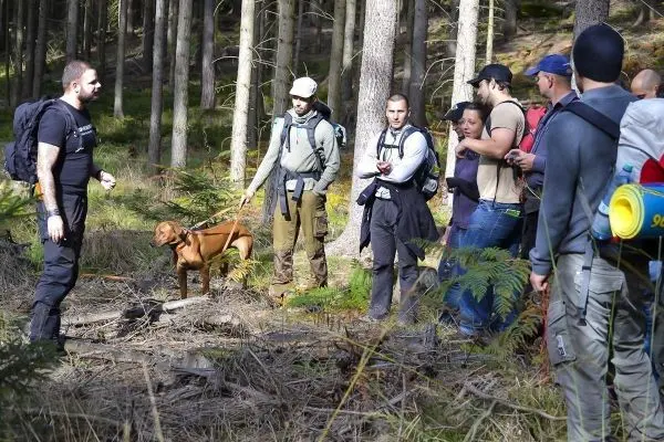 Person erklärt etwas einer Gruppe im Wald mit Hund