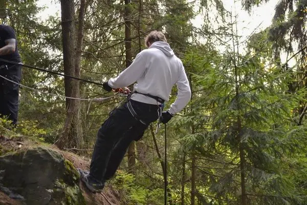 Person seilt an einem Seil in den Wald ab
