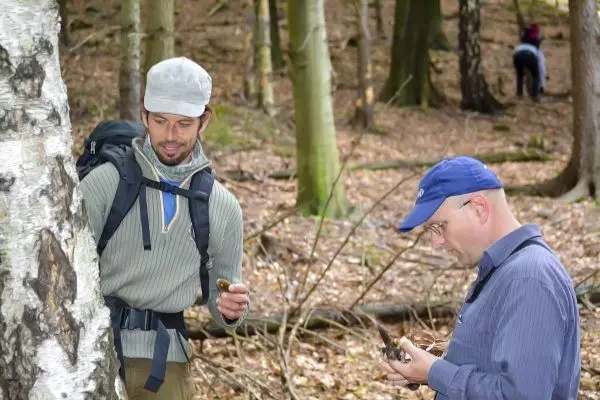 Person untersucht Baumrinde, Person schaut auf Kompass im Wald