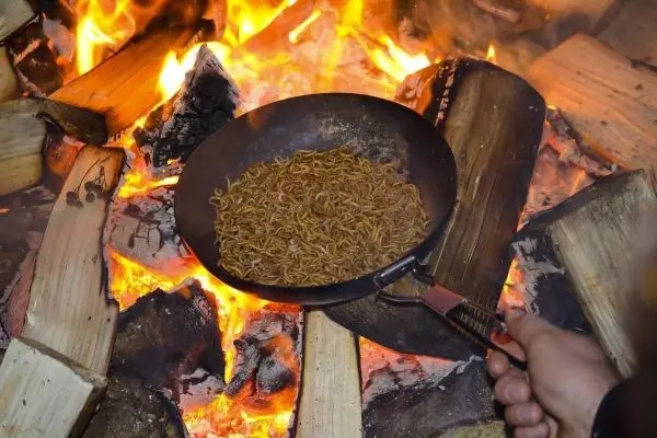Pfanne mit Insekten über offenem Feuer auf Holzscheiten erhitzt