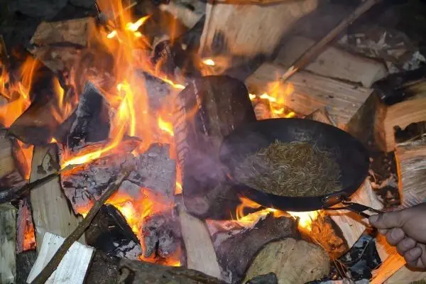 Pfanne mit Insekten über offenem Feuer erhitzt, Holzscheite brennen
