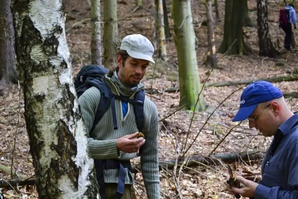 Zwei Personen untersuchen etwas in einem Wald, umgeben von Bäumen und Laub