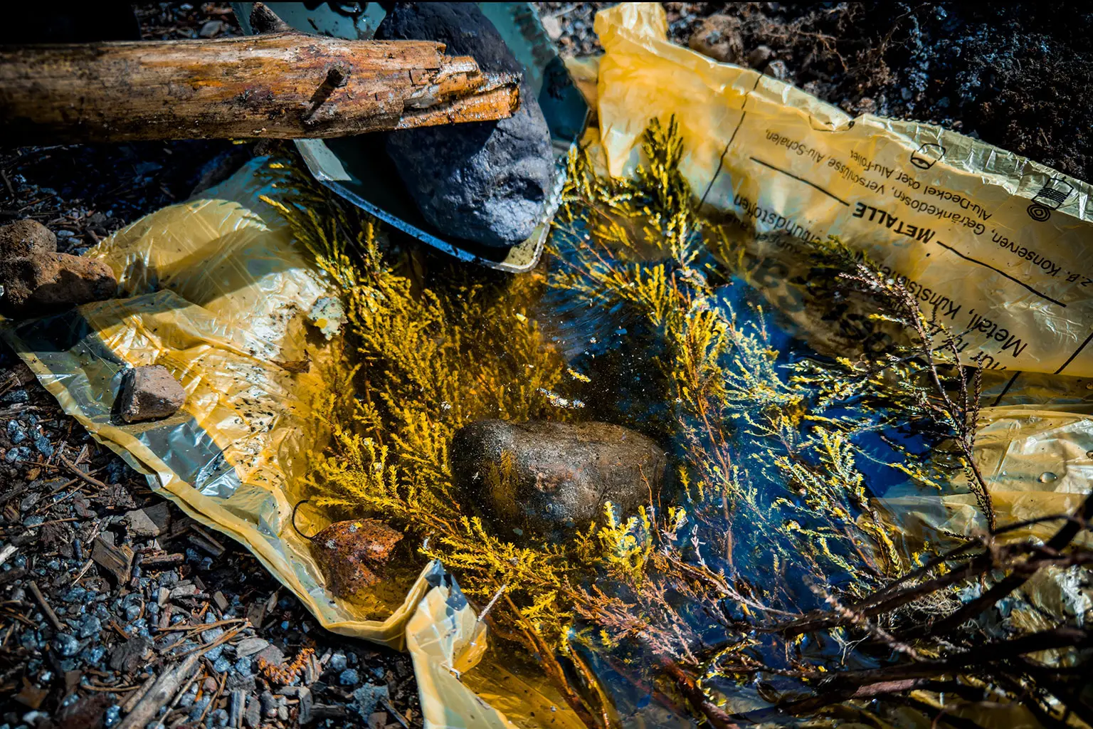 Improvisiertes Kochsetup: Erdloch mit eingelegter Plastiktüte, darauf eine Lage Nadelzweige als Schutz; daneben liegen glühend erhitzte, dichte Steine, die mit einer Holzgabel vorsichtig umgesetzt werden