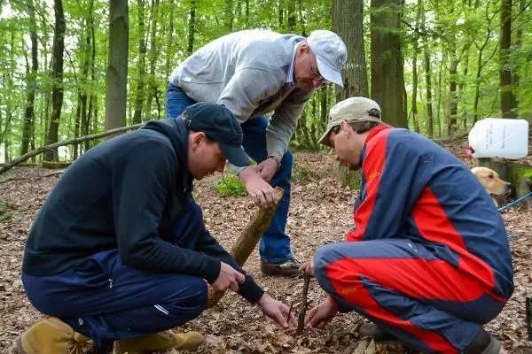 Drei Personen arbeiten am Boden mit Holzstücken im Wald