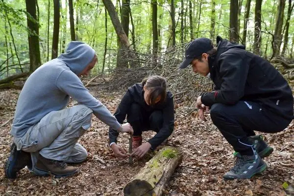 Drei Personen arbeiten gemeinsam an einer Holzstruktur im Wald