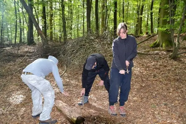 Drei Personen bearbeiten einen Holzstamm im Wald mit Messern