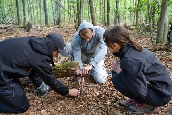 Drei Personen untersuchen den Boden in einem Waldgebiet neben einem umgefallenen Baum