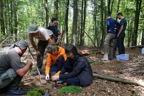 Gruppe arbeitet im Wald an verschiedenen Überlebenstechniken, einige sammeln Pflanzen