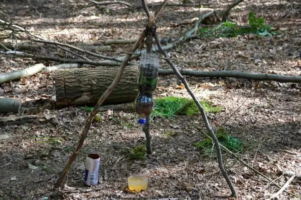 Improvisierte Wasserfilterkonstruktion aus Ästen und Plastikflasche hängt über Behälter