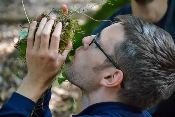 Mann hält eine Ansammlung von Pflanzenmaterial nahe an den Mund