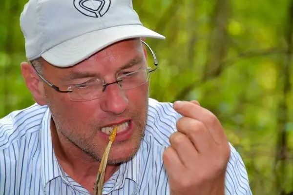 Mann hält einen Stock in der Hand und betrachtet ihn aufmerksam