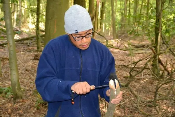 Person schnitzt mit einem Messer an einem Stock im Wald