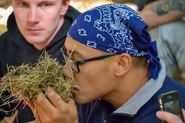 Zunder wird in der Hand gehalten und angeblasen