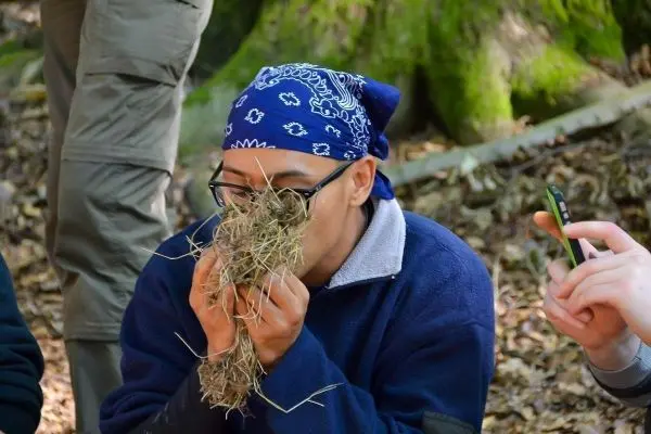 Zunder wird zum Zundernest geformt und vorbereitet